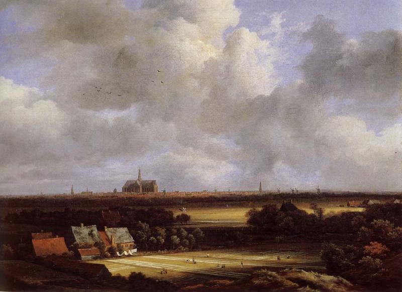 Jacob van Ruisdael View of Haarlem with Bleaching Grounds Sweden oil painting art